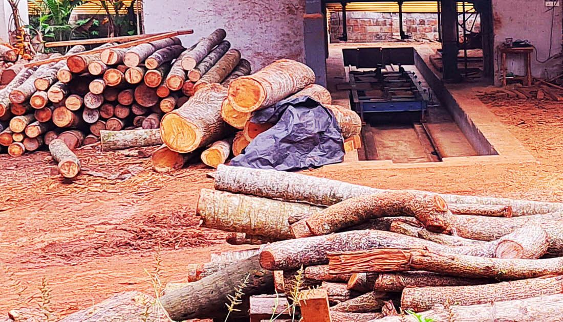 Stack of round logs beside the saw carriage at CK Sawmill