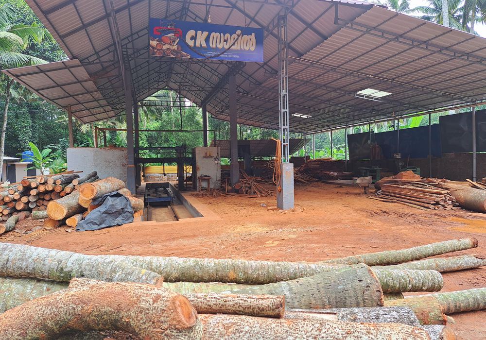 Inside the CK Sawmill yard in Kanjiramkulam with logs, sawn timber and the mill shed